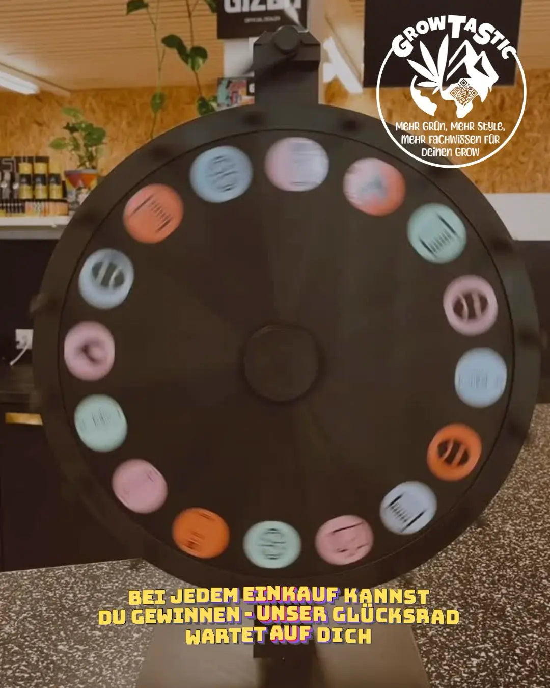 🎡 Das Glücksrad wartet auf dich!