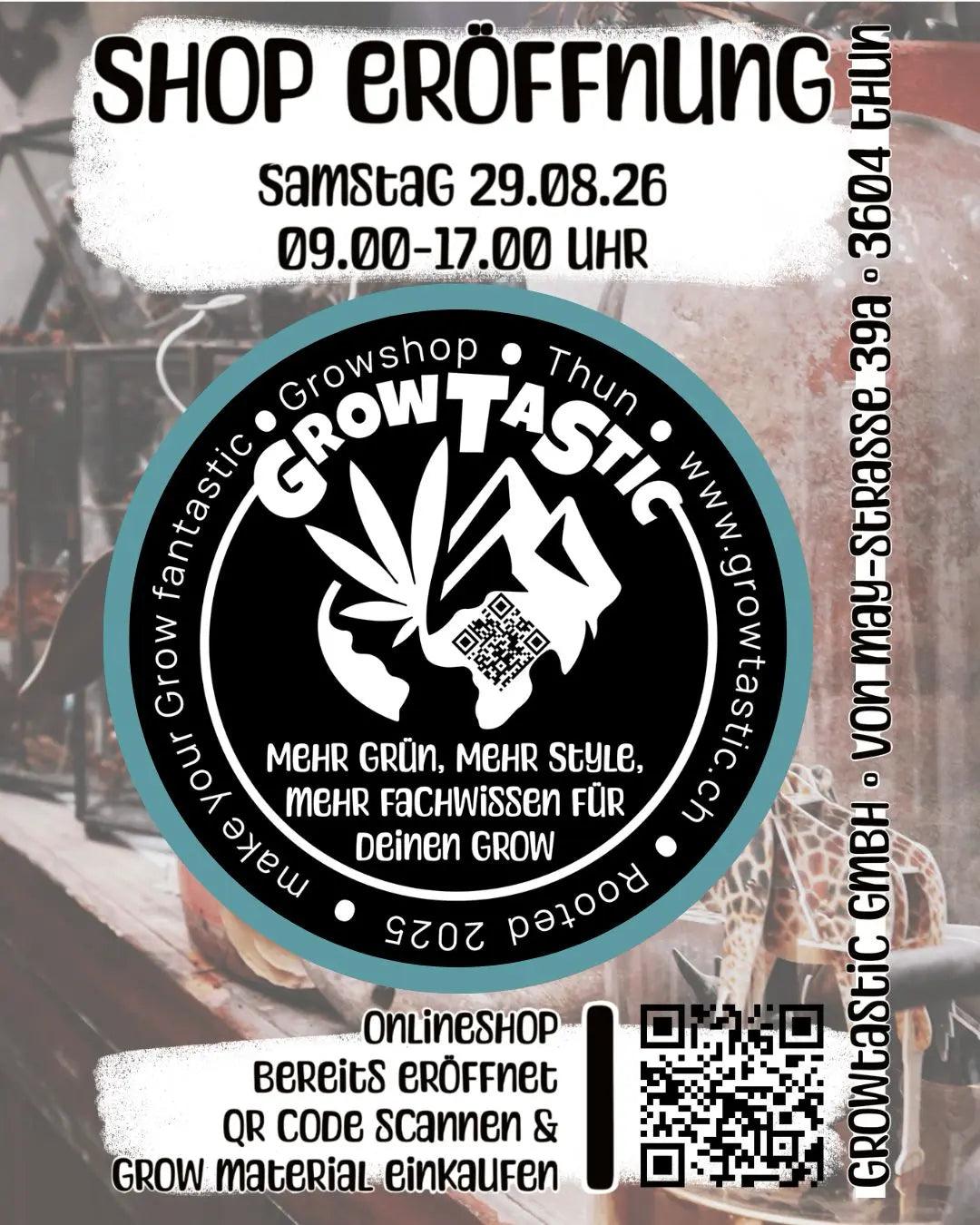 GrowTastic Store Thun – Standort, Facts & Eröffnung