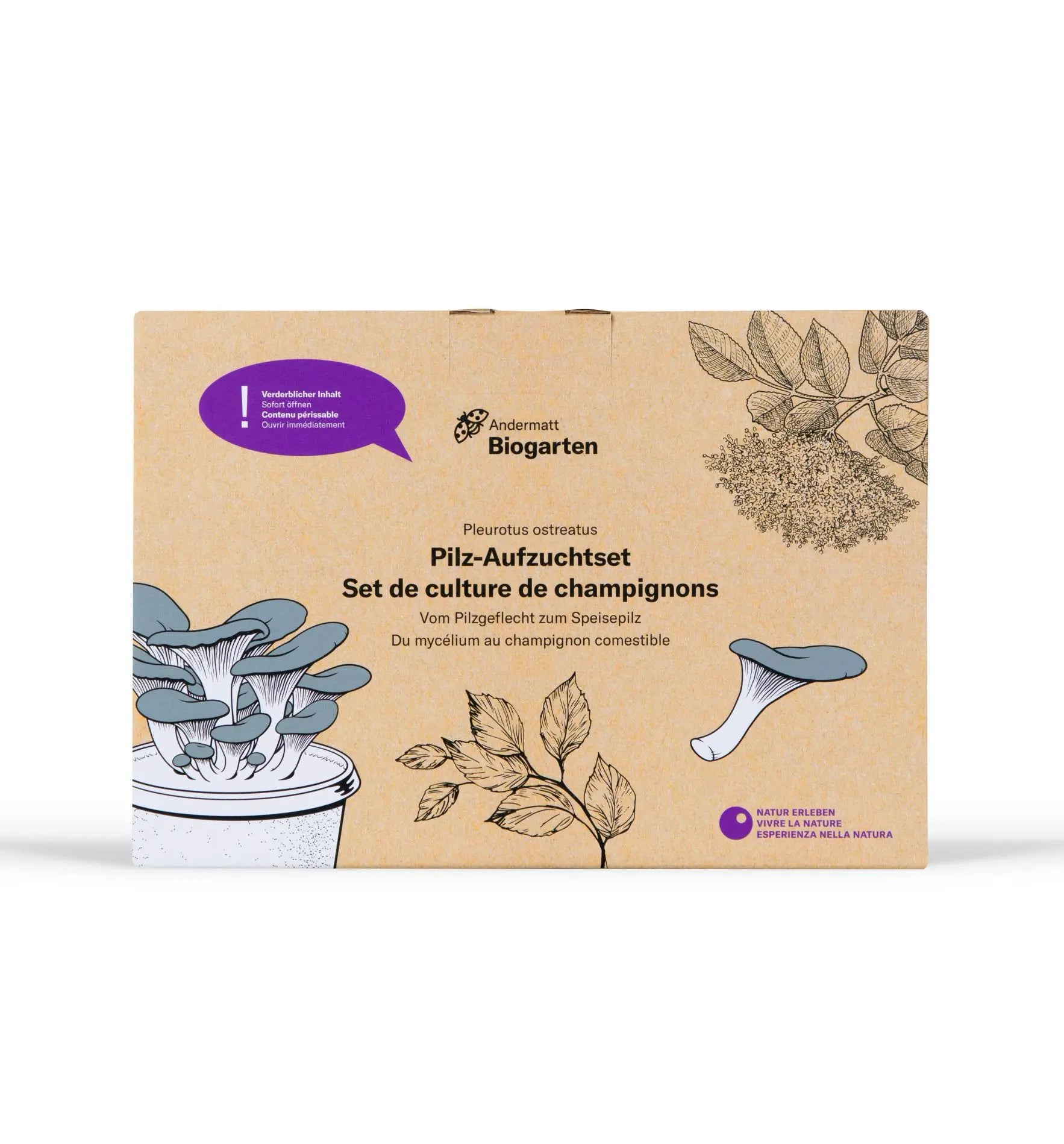 Aufzuchtset für Austernseitlinge von Biocontrol & Biogarten, inklusive Startkultur zum Züchten, Ernten und Genießen von Pilzen