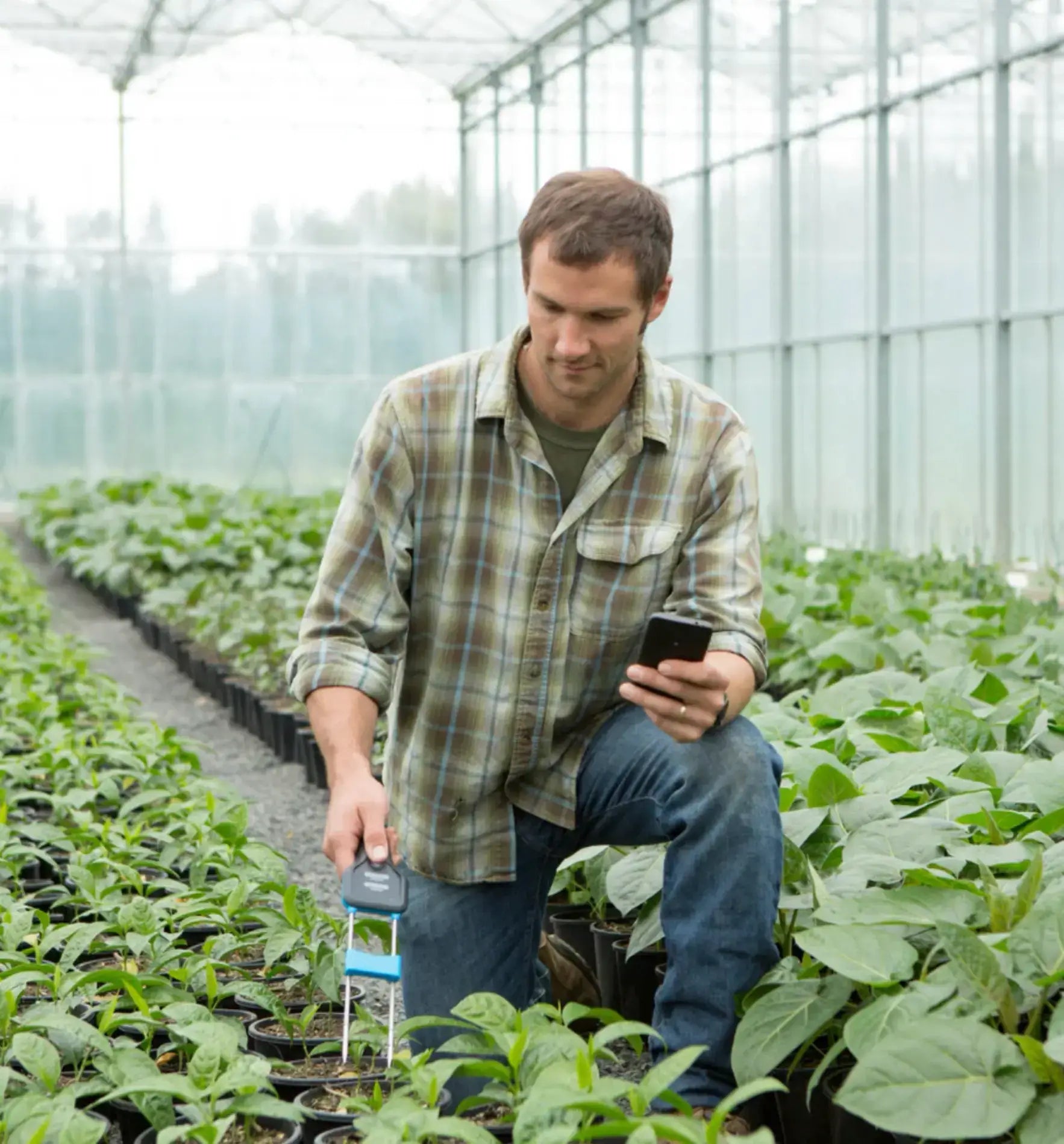 Bluelab Pulse Meter 2