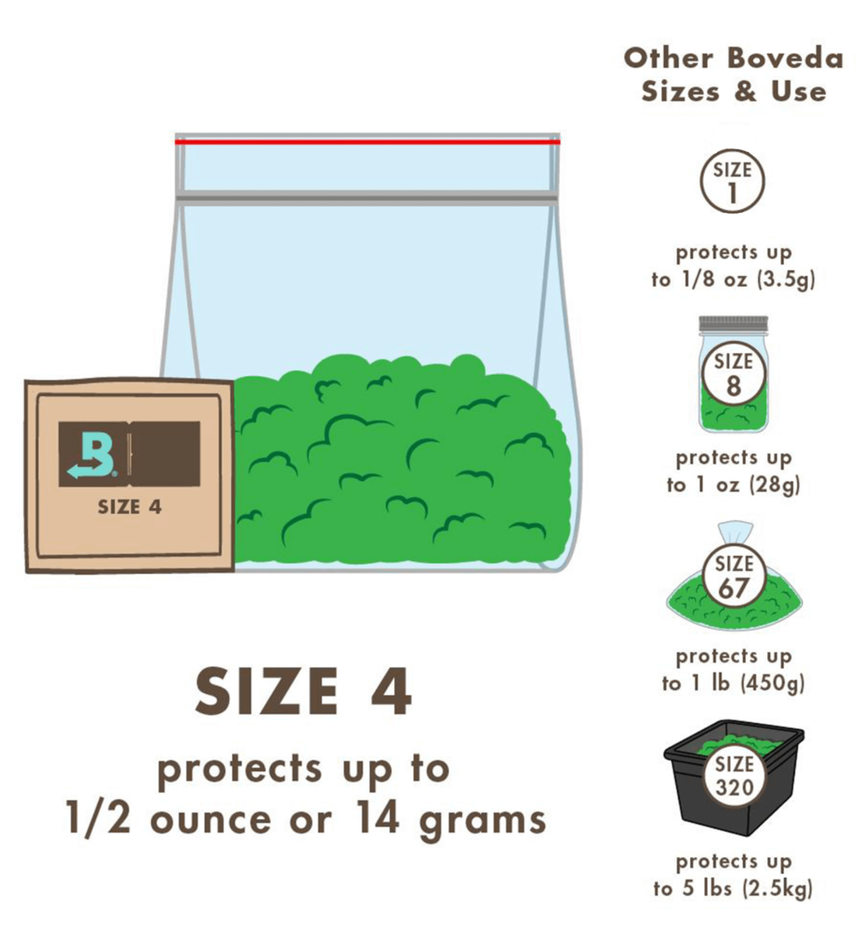 Infografik über Boveda Größen, zeigt Größe 4 und deren Schutz bis zu 14 Gramm.