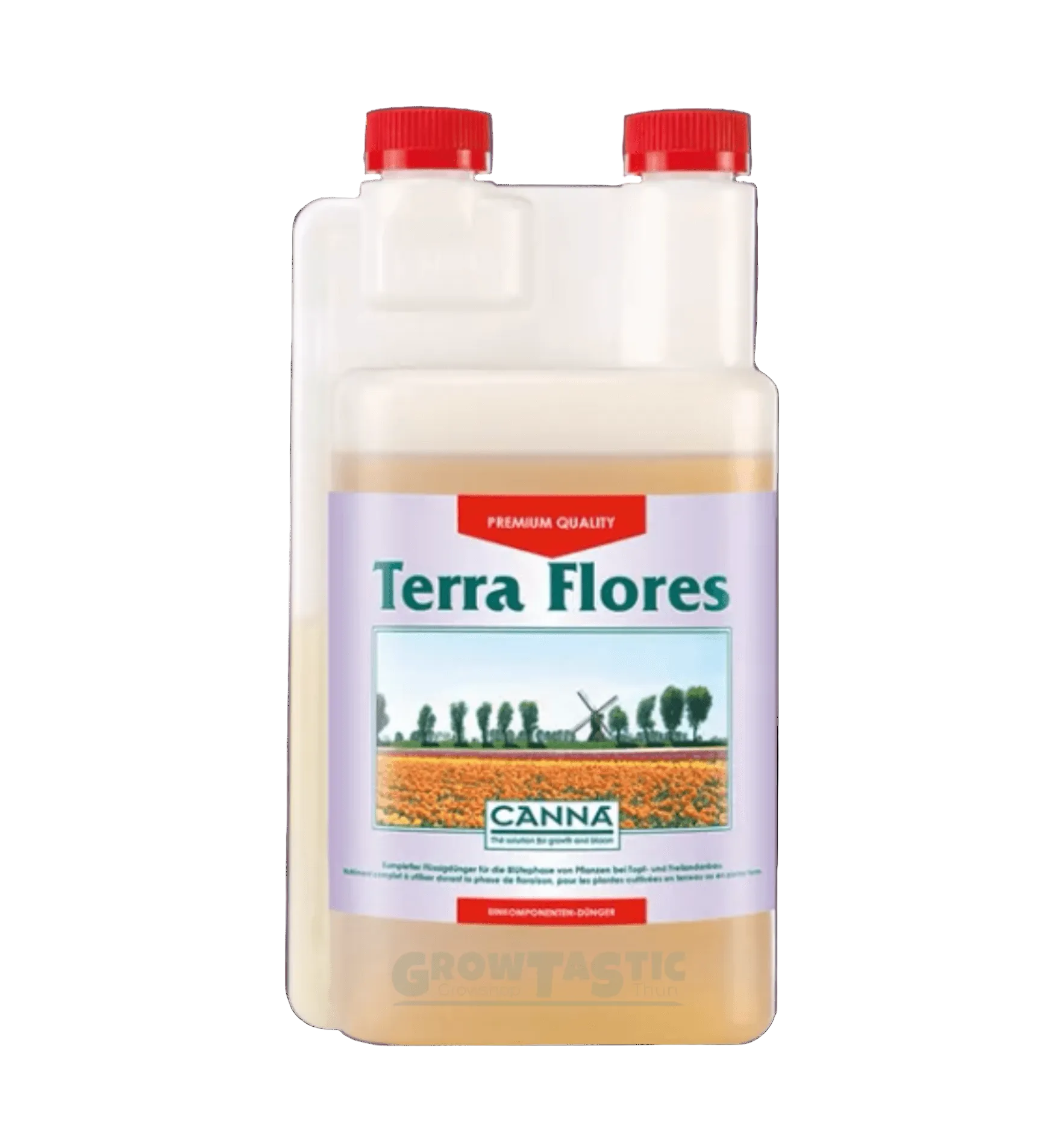 Canna Terra Flores