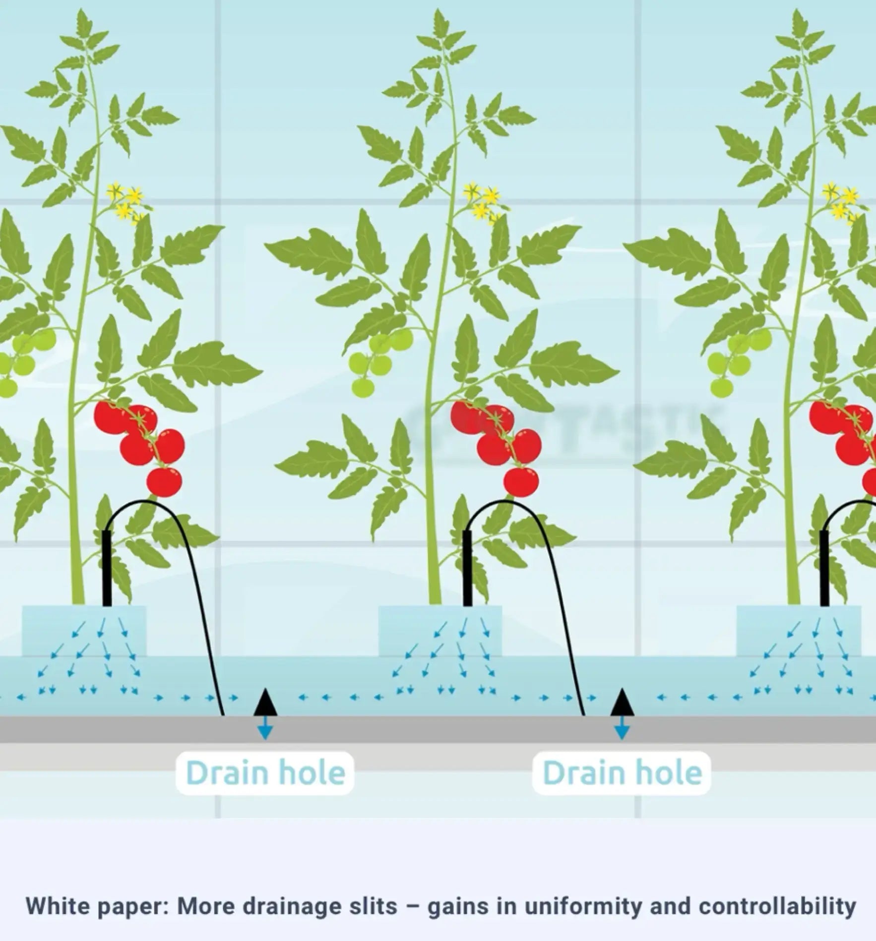 Cultilene Slabs Steinwolle 4