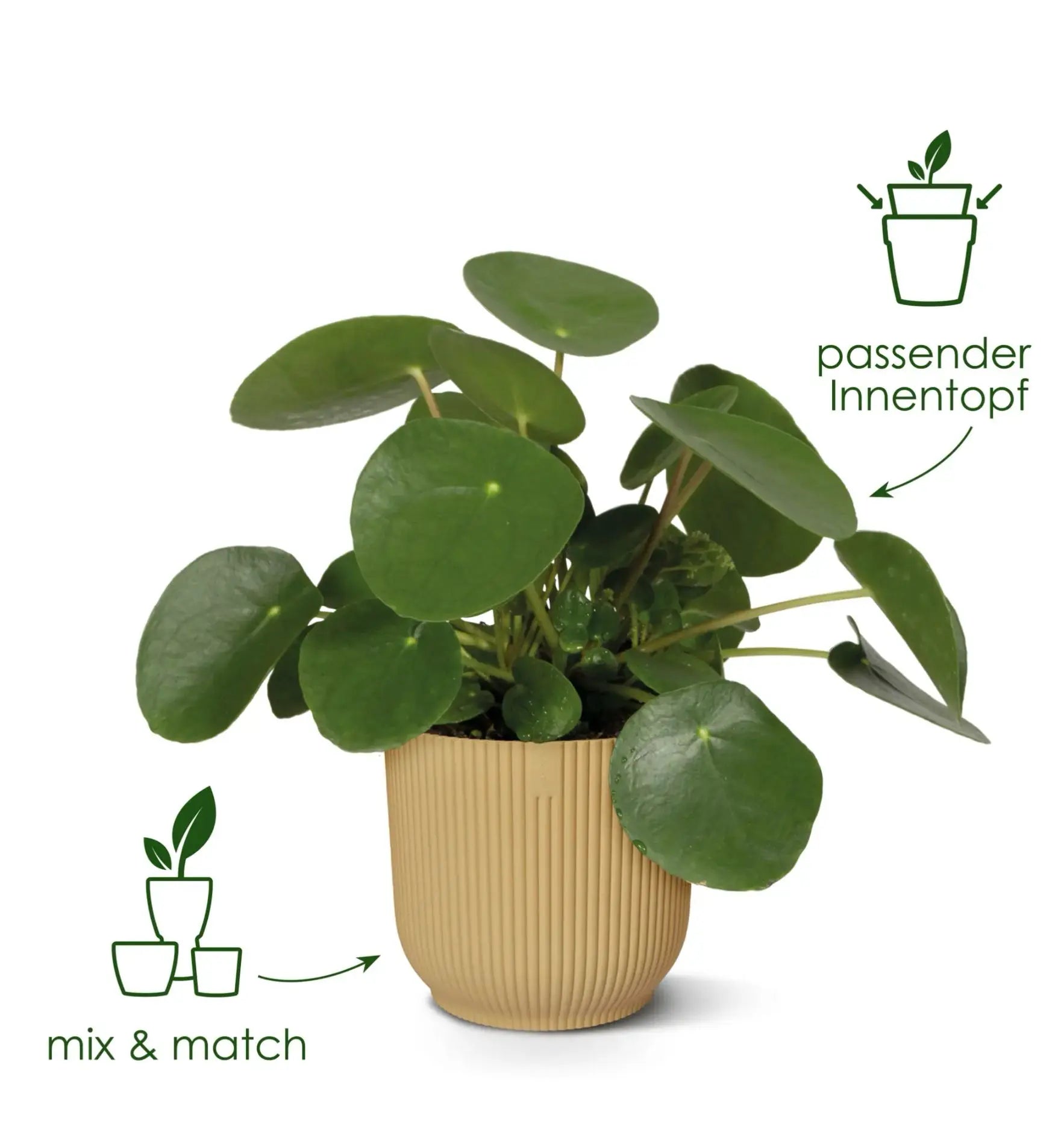 Elho Vibes Fold Pflanztopf aus Kunststoff in modernem Design, ideal für Garten oder Balkon, grau, mit gefaltetem Muster.