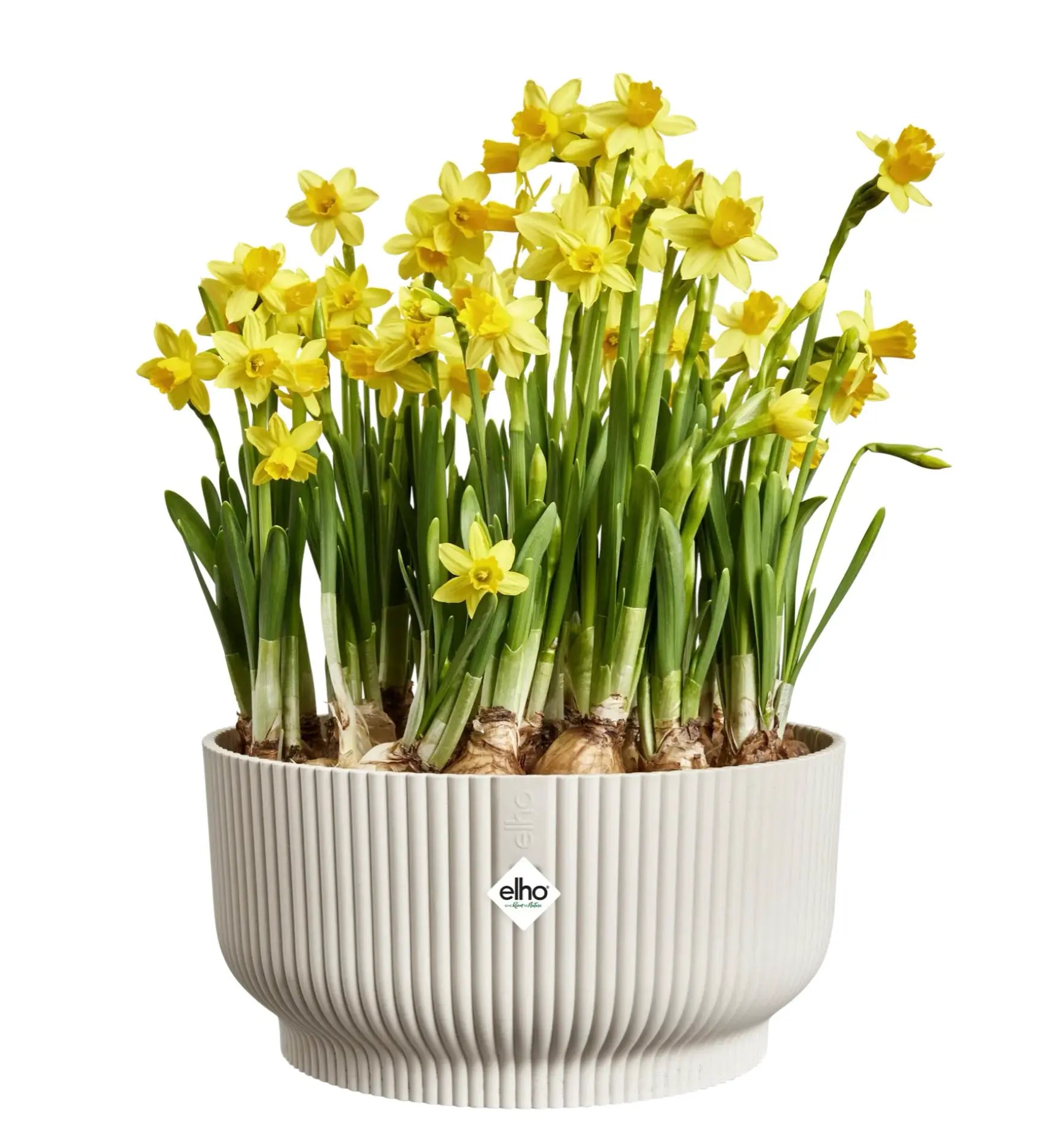 Elho Vibes Fold Bowl Pflanztopf aus Kunststoff mit modernem Design, ideal für Zimmer- und Balkonpflanzen