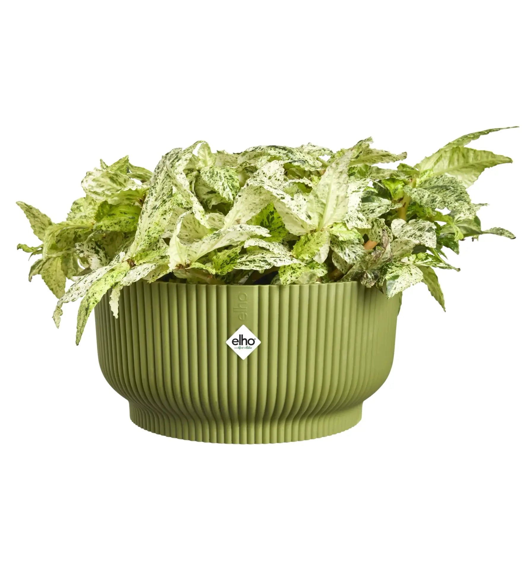 Elho Vibes Fold Bowl Pflanztopf aus Kunststoff, faltbar und modern, für Zimmerpflanzen oder Garten, in neutralem Design.