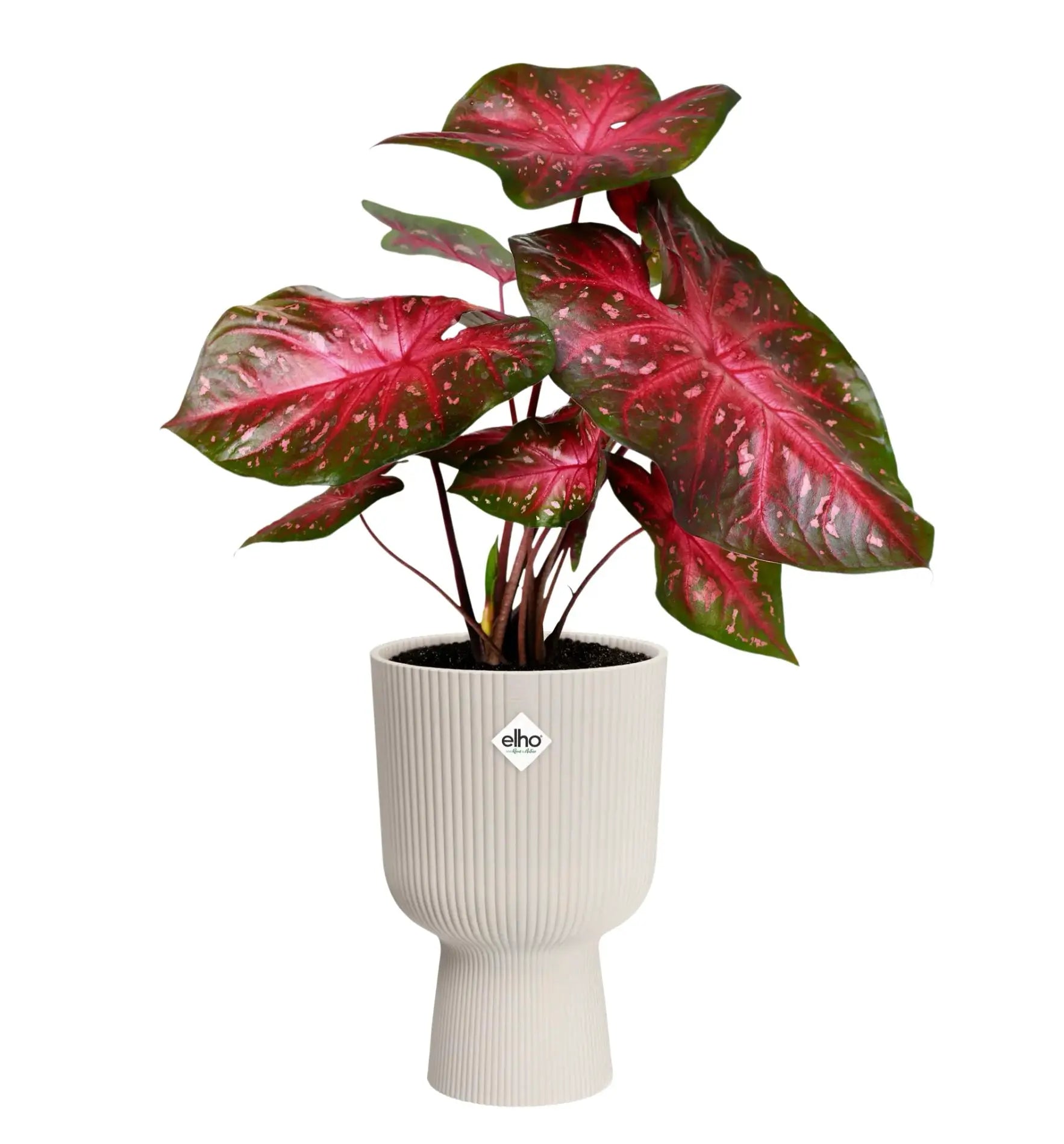 Elho Vibes Fold Coupe Pflanztopf aus Kunststoff in modernem Design, ideal für Zimmerpflanzen oder Balkon.