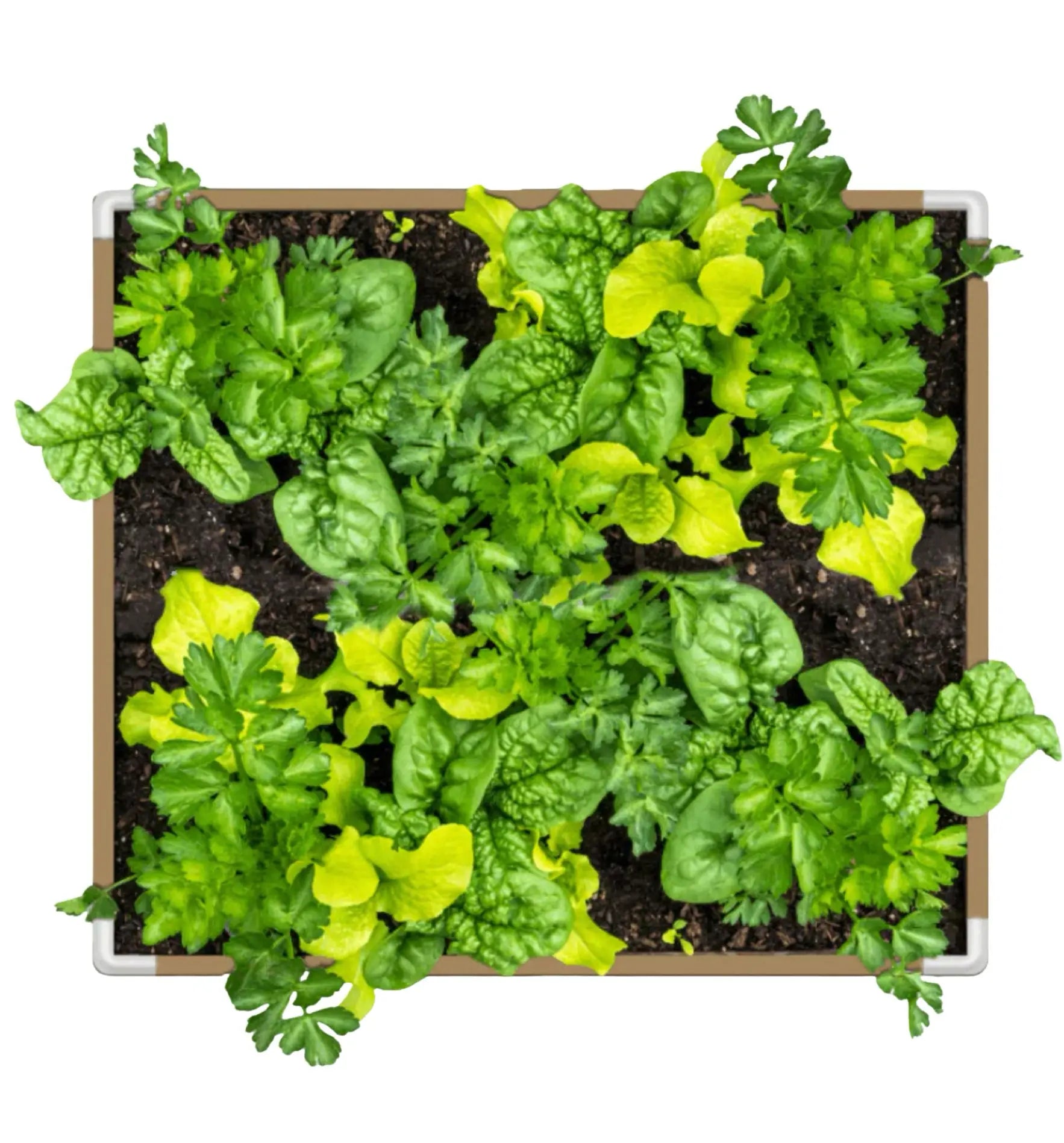Grassroots Living Soil Fabric Bed, Stoffbeet für lebendige Erde, flexible Pflanztopf aus atmungsaktivem Material, ideal für Garten und Balkon