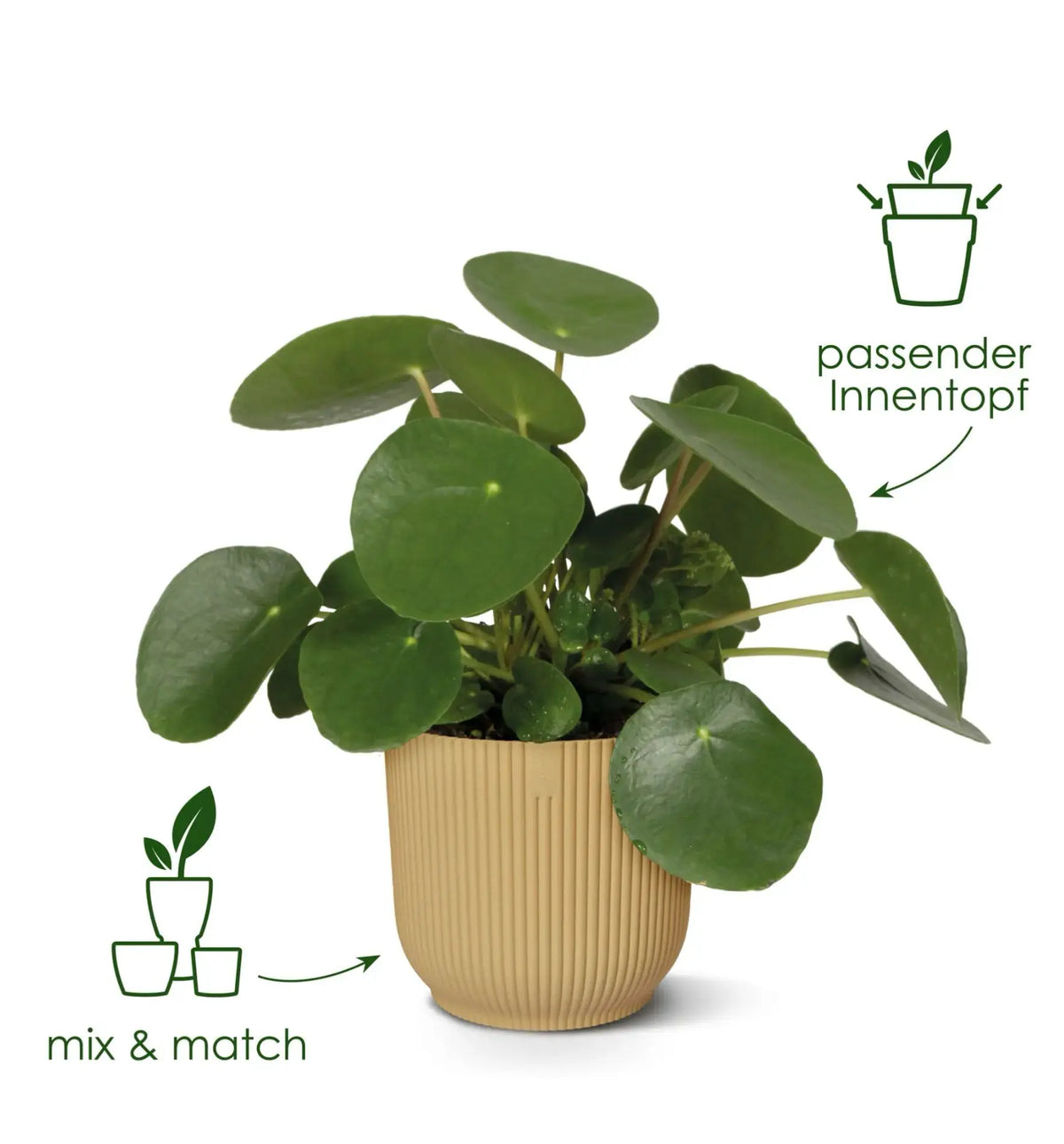 Elho Vibes Fold Pflanztopf aus Kunststoff in modernem Design, ideal für Garten oder Balkon, grau, mit gefaltetem Muster.