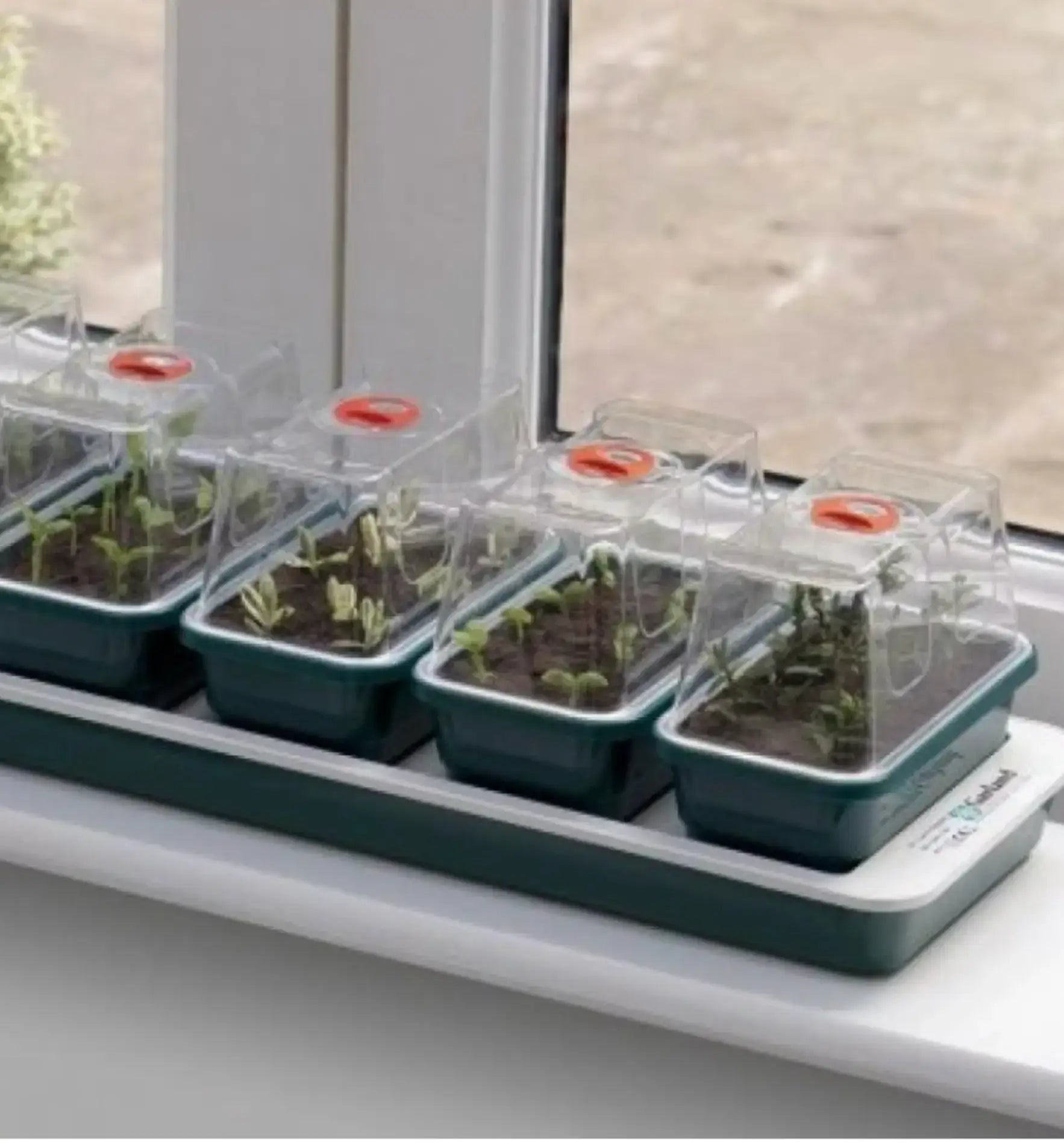 Garland Fenstertreibhaus 7 mit Bewässerung Heizung