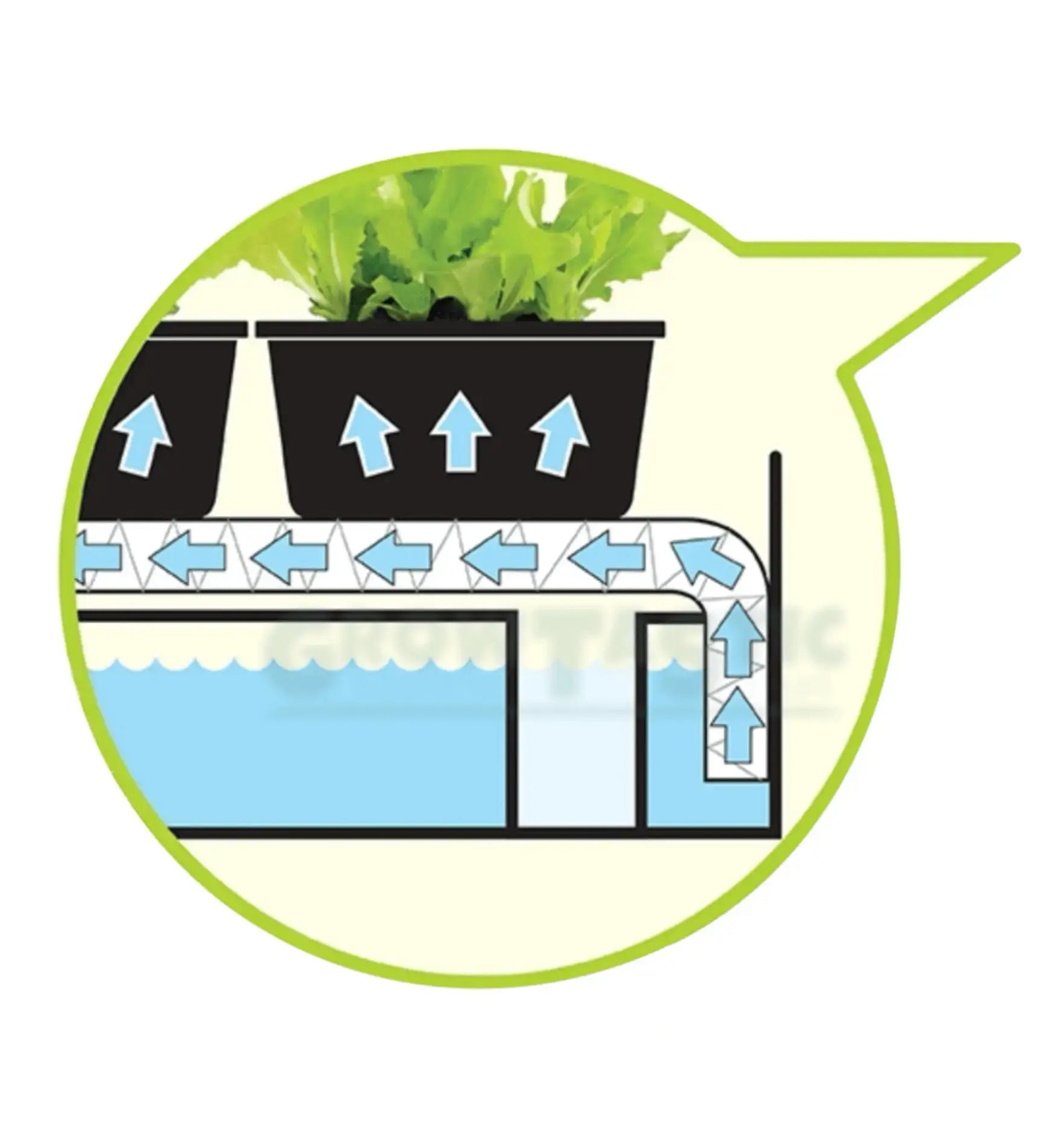 Garland Grow Light Garden Bewässerungsvorgang