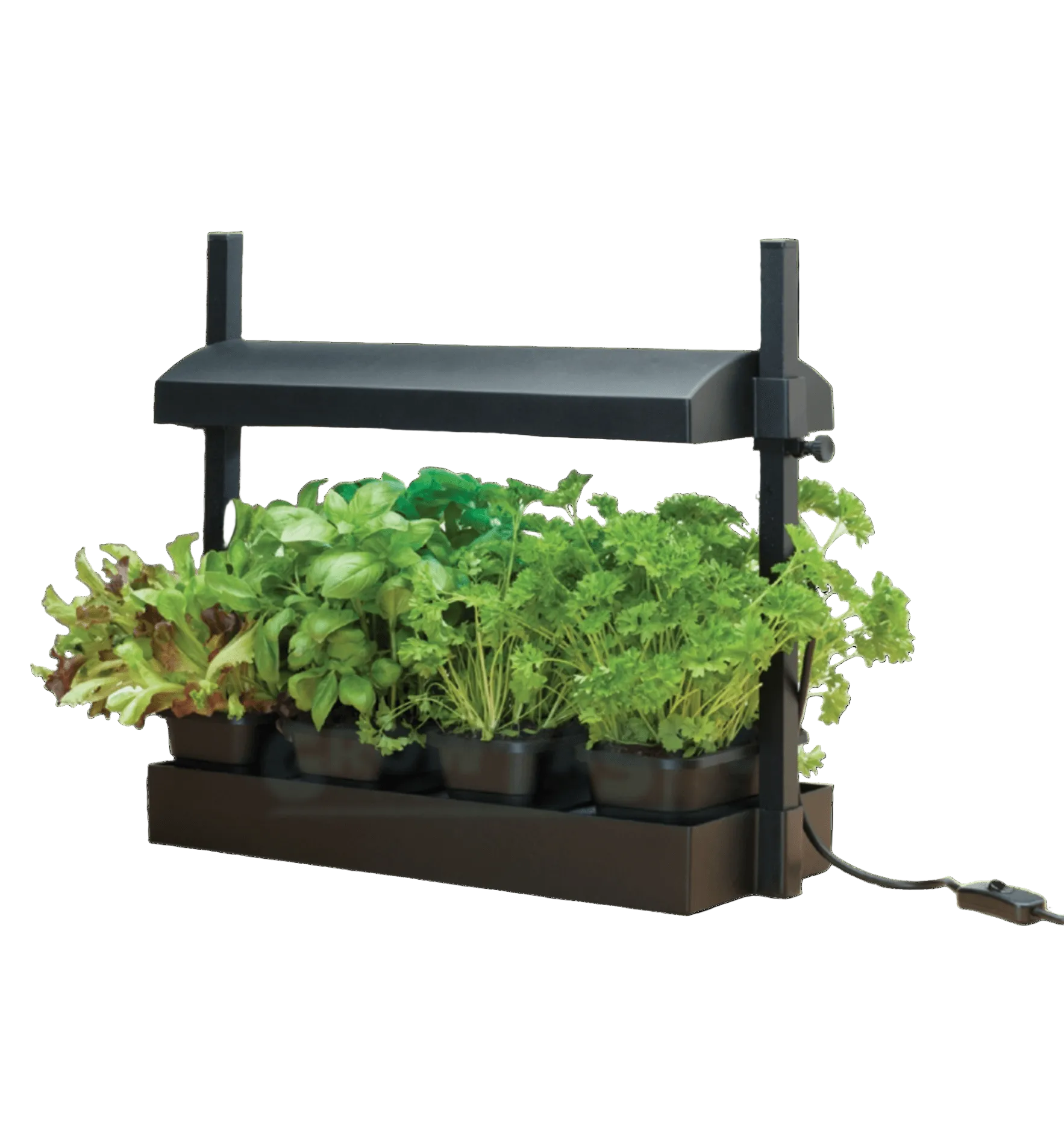 An indoor hydroponic growing system with herbs and vegetables in pots, showcasing a modern design.