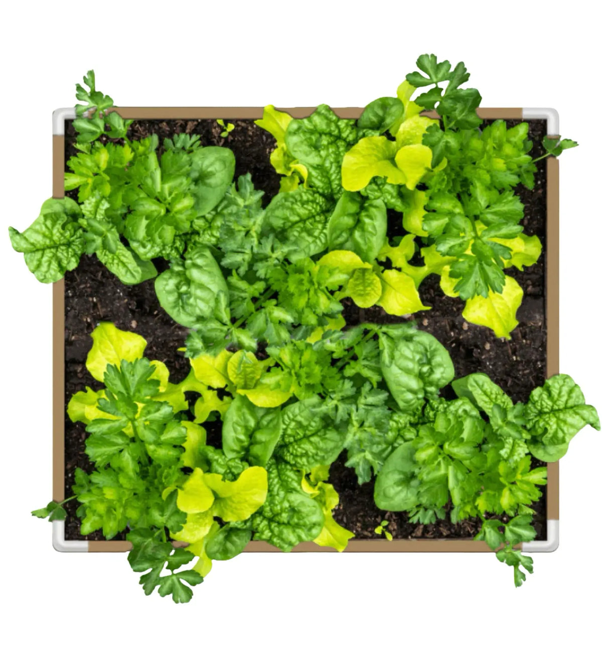 Grassroots Living Soil Fabric Bed, Stoffbeet für lebendige Erde, flexible Pflanztopf aus atmungsaktivem Material, ideal für Garten und Balkon