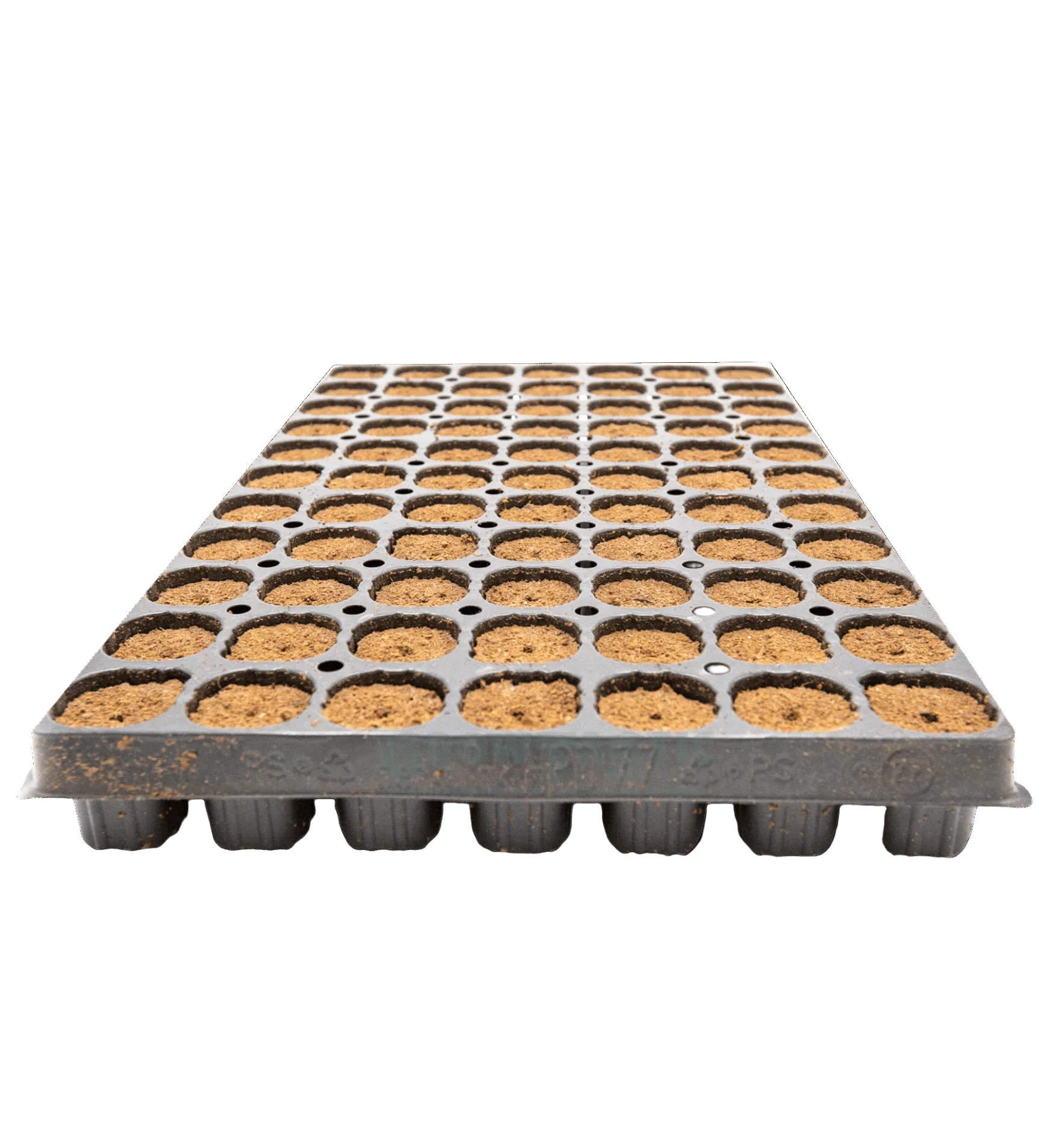 Intra Plug 77er Tray Coco