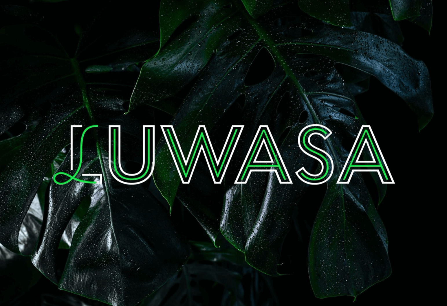 Luwasa Logo vor grünen Blättern, die nasse Oberfläche reflektieren, ideal für Growshop und Gartenprodukte.