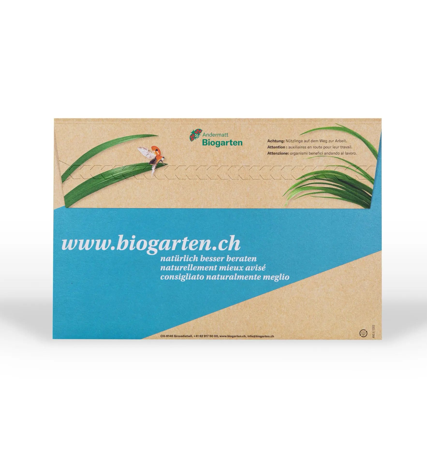 Nützlinge Adalia Marienkäfer gegen Blattläuse in Versand-Couvert, für biologischen Garten- und Pflanzenschutz.