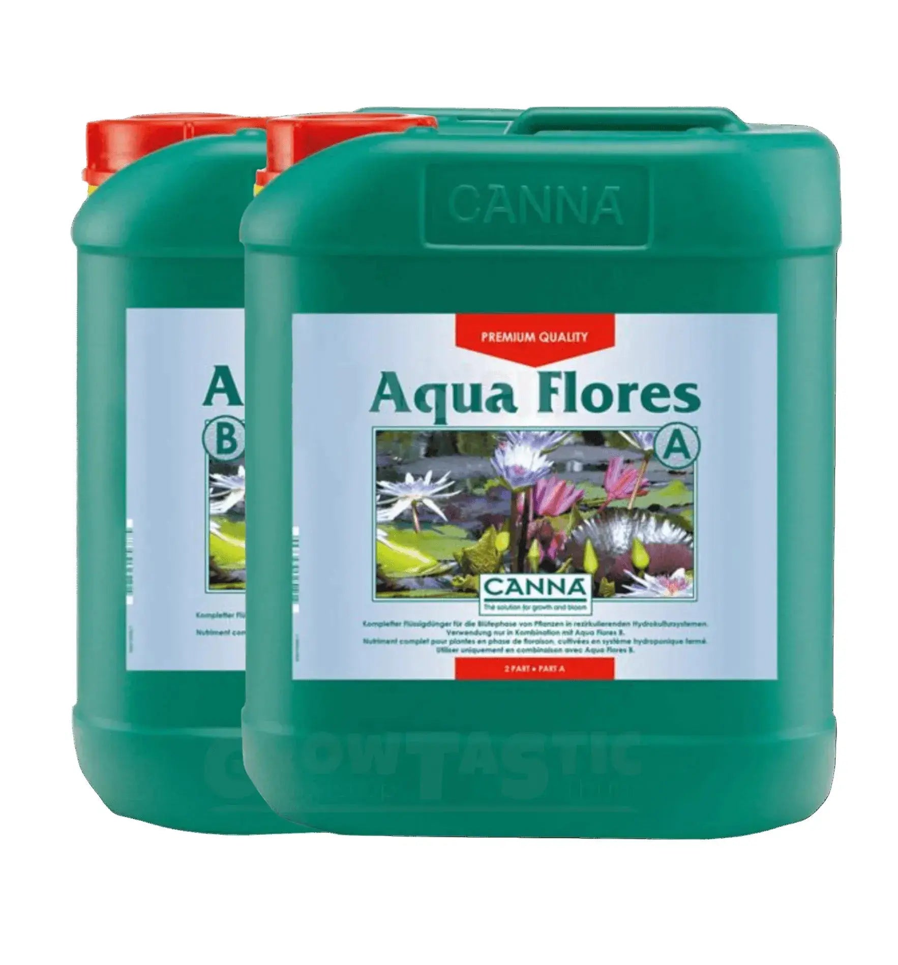 Aqua Flores 5