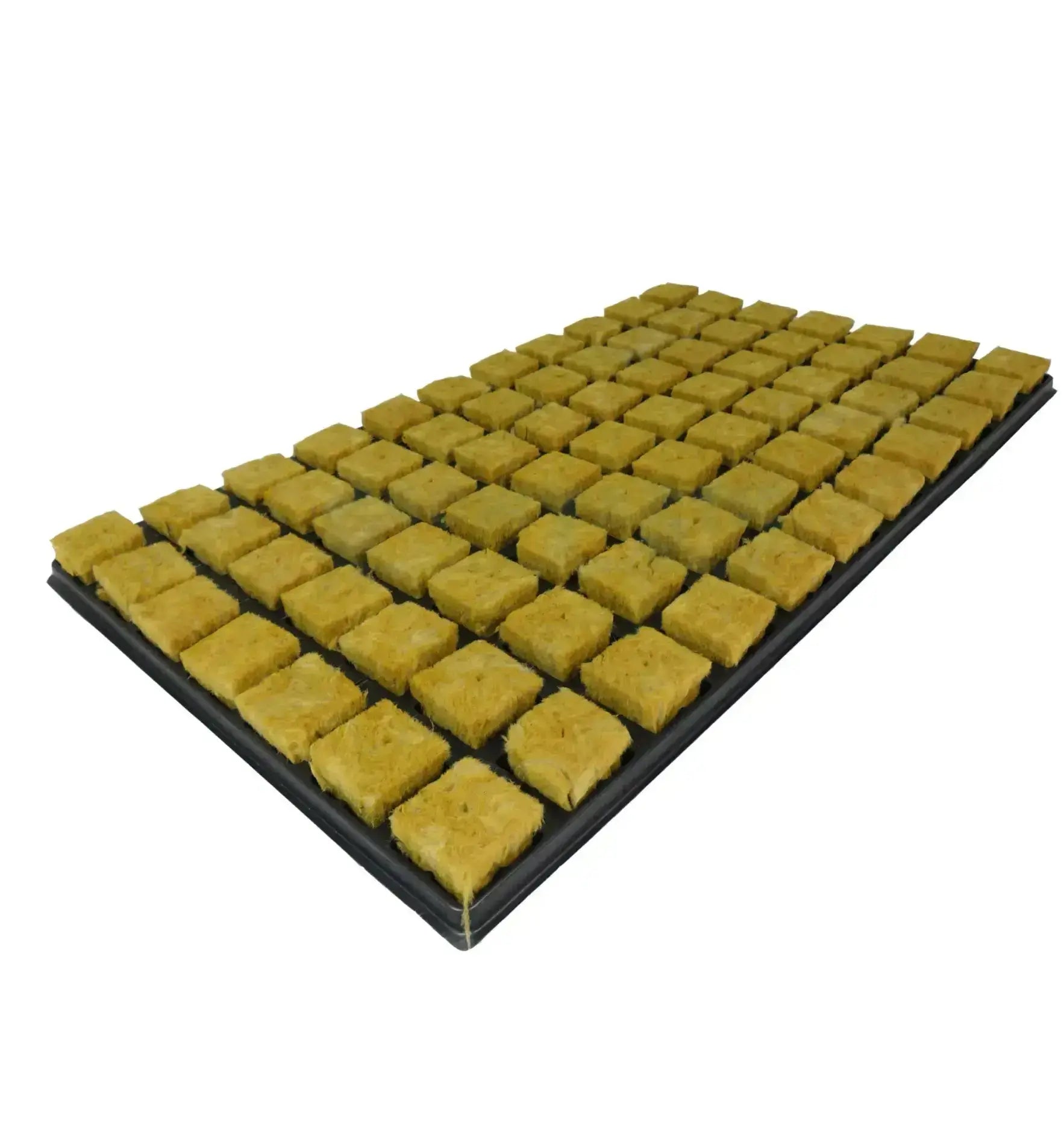 Cultilene Stecklings-Tray mit 77 Stecklingsmedien für Anzucht, aus robustem Kunststoff, perfekt zum Bewurzeln von Pflanzen.