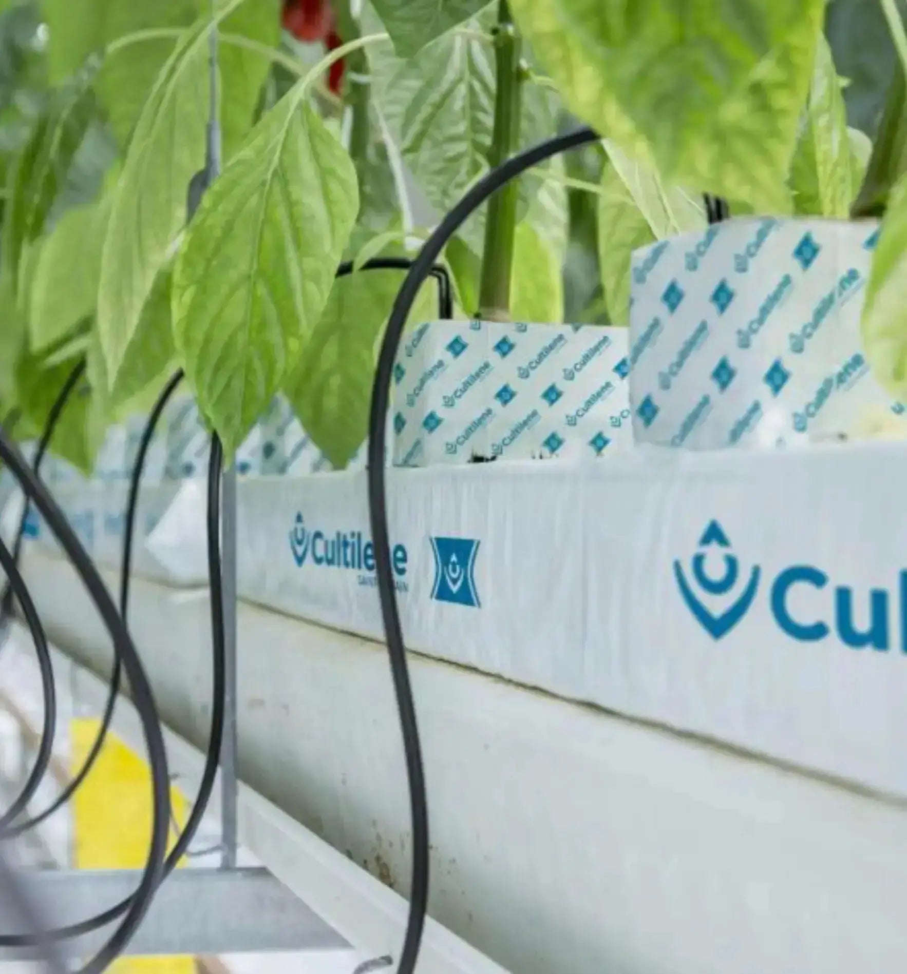 Cultilene Steinwolle-Blocke in 15x7,5x100 cm, isolierende Steinwolle für Bau- und Dämmzwecke, robuste Oberfläche