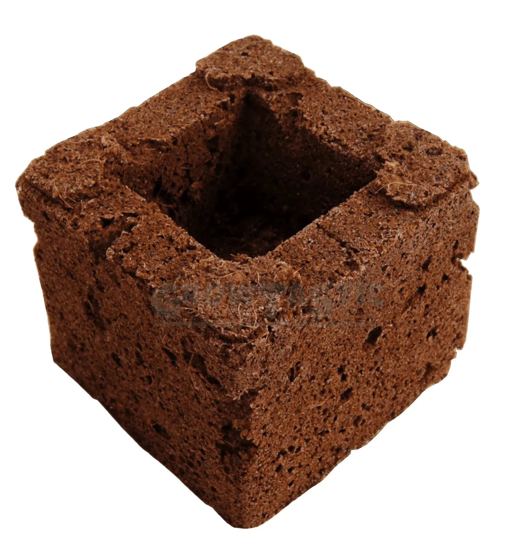 Eazy Plug Anzuchtmedien Block mit 3,8 cm Loch, ideal für Pflanzenanzucht, biologisch abbaubar, in natürlicher Umgebung.