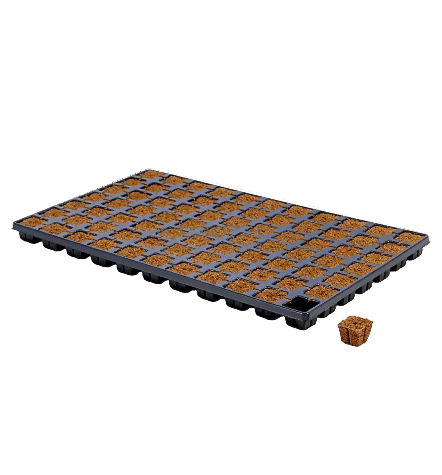 Eazy Plug Stecklings-Tray mit 77 Anzuchtmedien, 3,5 x 3,5 cm, für Pflanzenanzucht, in Bildansicht
