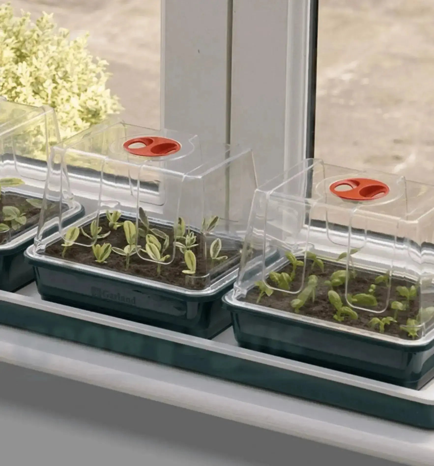 Garland Fenstertreibhaus 3 mit Heizung