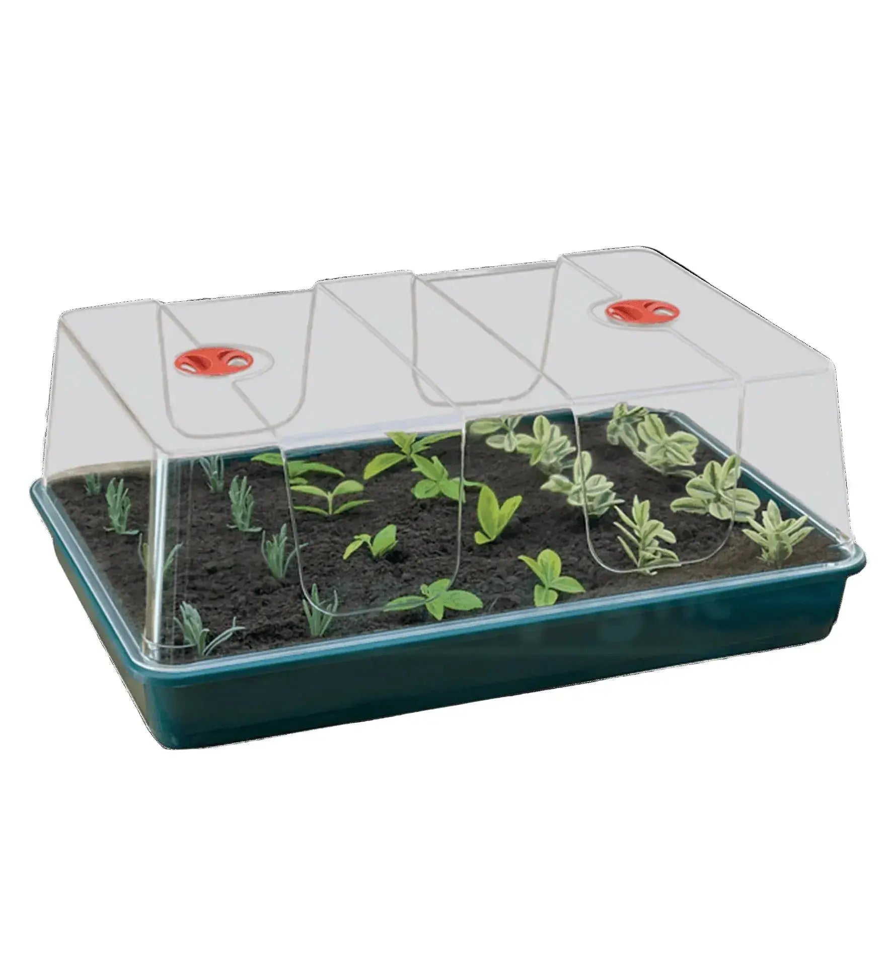 Garland Treibhaus XL High Dome 1