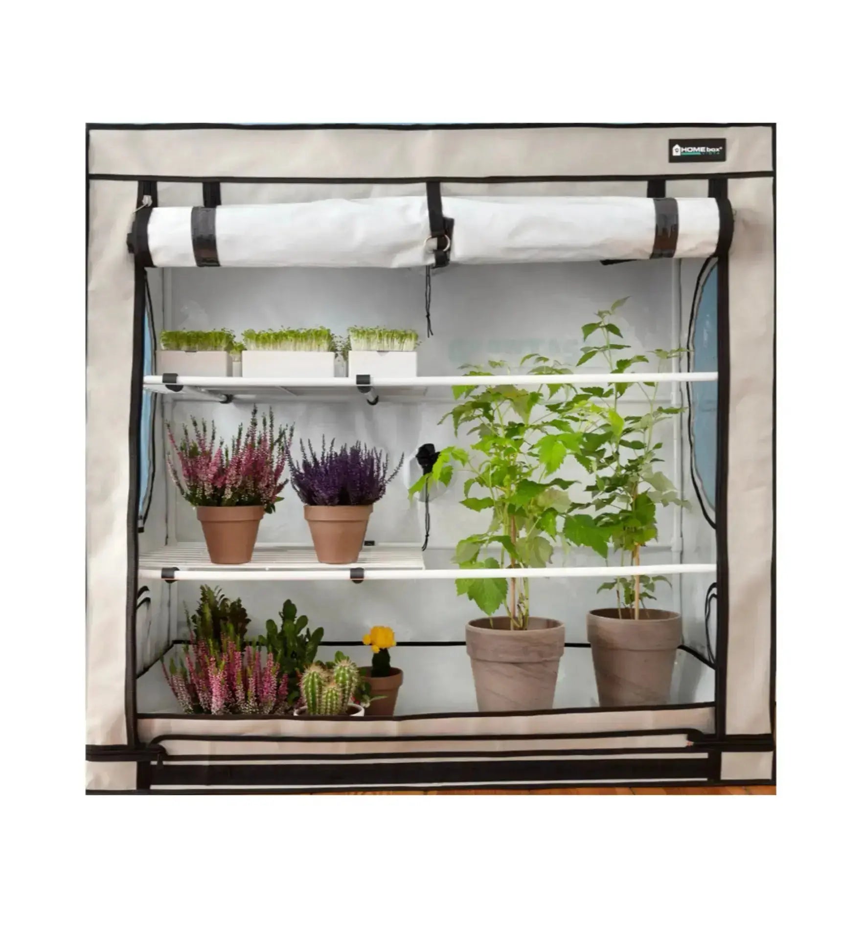 Homebox Vista Growbox in mittlerer Größe und Dreiecksform, ideal für Pflanzenzucht, mit transparentem Material und stabiler Konstruktion.