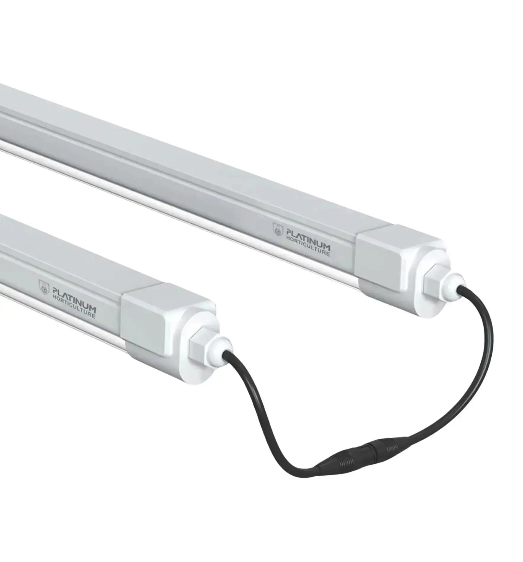 Horticulture Platinum Clone LED 12W 6500K