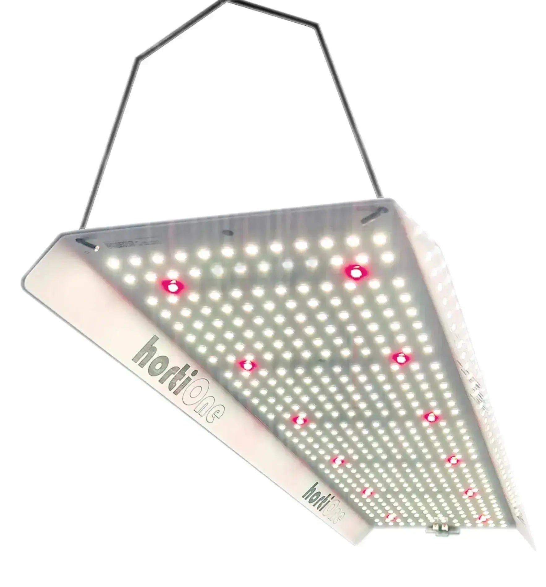 Hortione LED Pflanzenleuchte 150W mit 408µmol/s für gesunde Pflanzen, hell erleuchtete Innenraumaufnahme