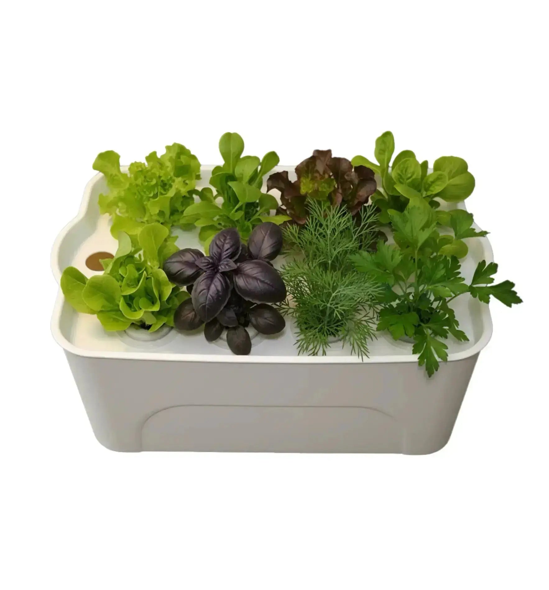 HTP Hydro Box mit Salar