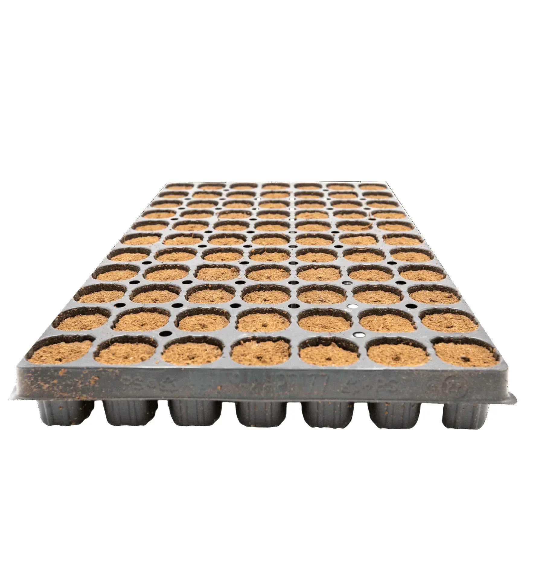 Intra Plug 77er Tray Coco Anzuchtswürfel, Anzuchtmedien für Pflanzen, mit mehreren Kokos-Substrat-Würfeln in einem Anzucht-Tray