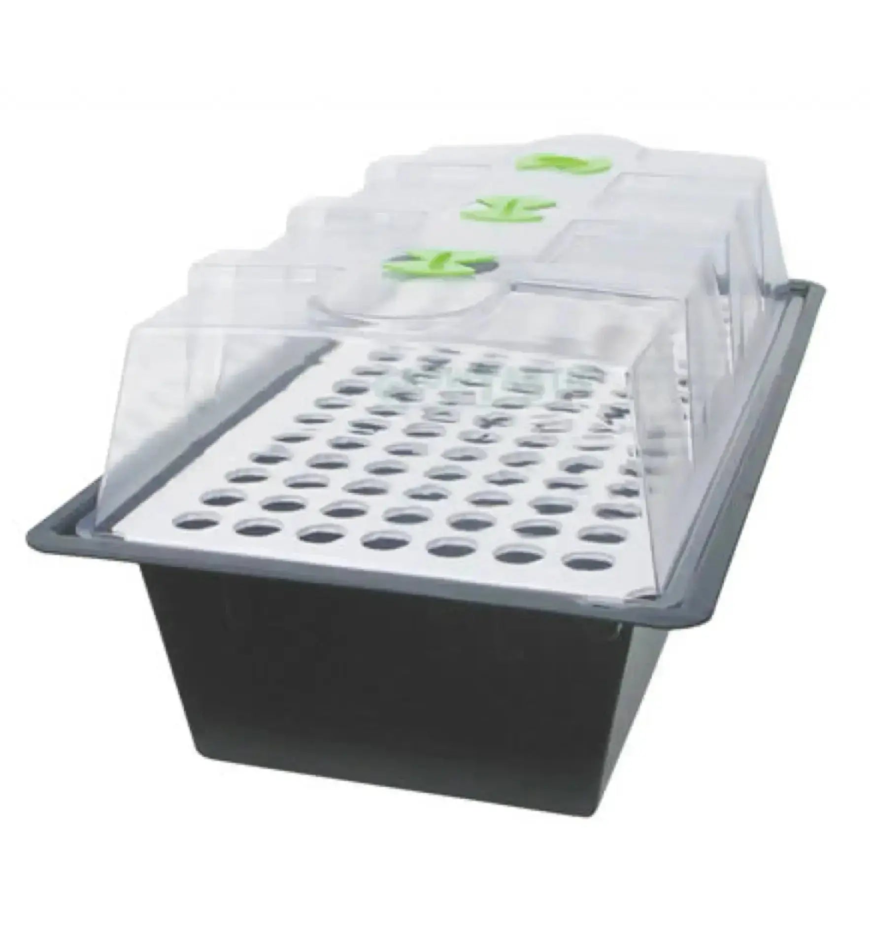 Nutricultur X-Stream