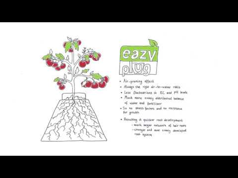 Load video: Eazy Plug Video