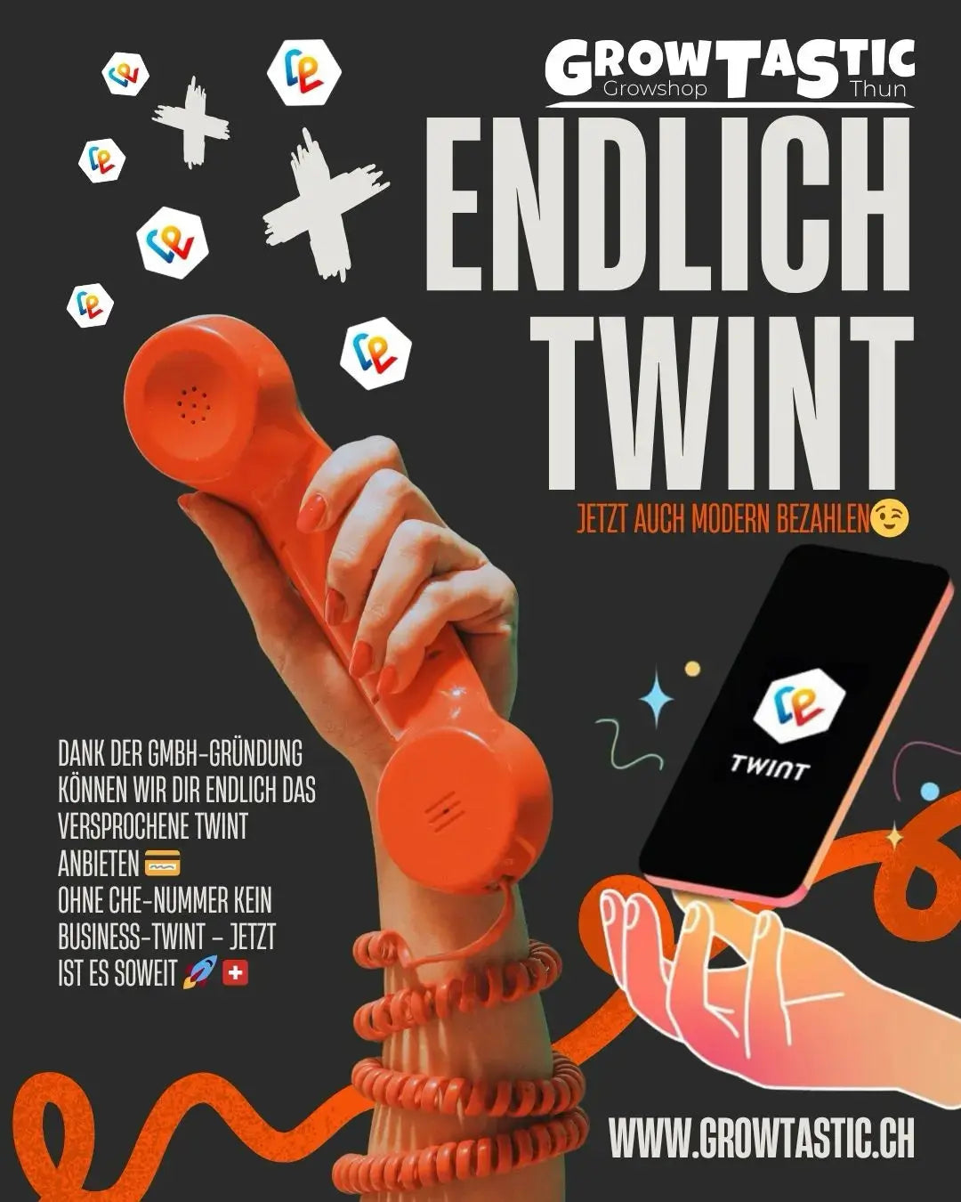 TWINT endlich verfügbar – ein weiterer Schritt nach der GmbH-Gründung GrowTastic GmbH