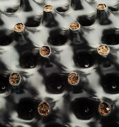 Air-Pot® Komplett Topf 2