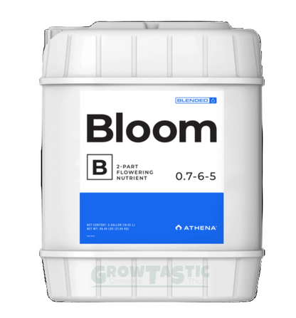 Athena Bloom B 18.92 Liter