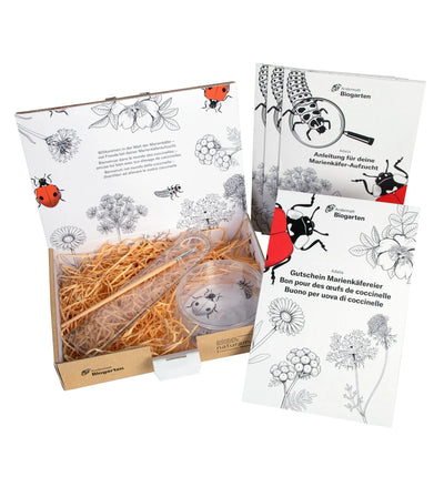 Aufzuchtset für Marienkäfer mit Eier, Futter und Zubehör von Biocontrol & Biogarten, inklusive Käfer und Verpackung.