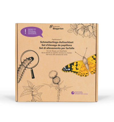 Aufzuchtset für Schmetterlinge mit Raupen und Zubehör von Biocontrol & Biogarten, zeigt das Set mit Raupen, Käfig und Futter.