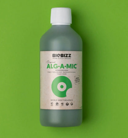 BioBizz AlgAMic Background