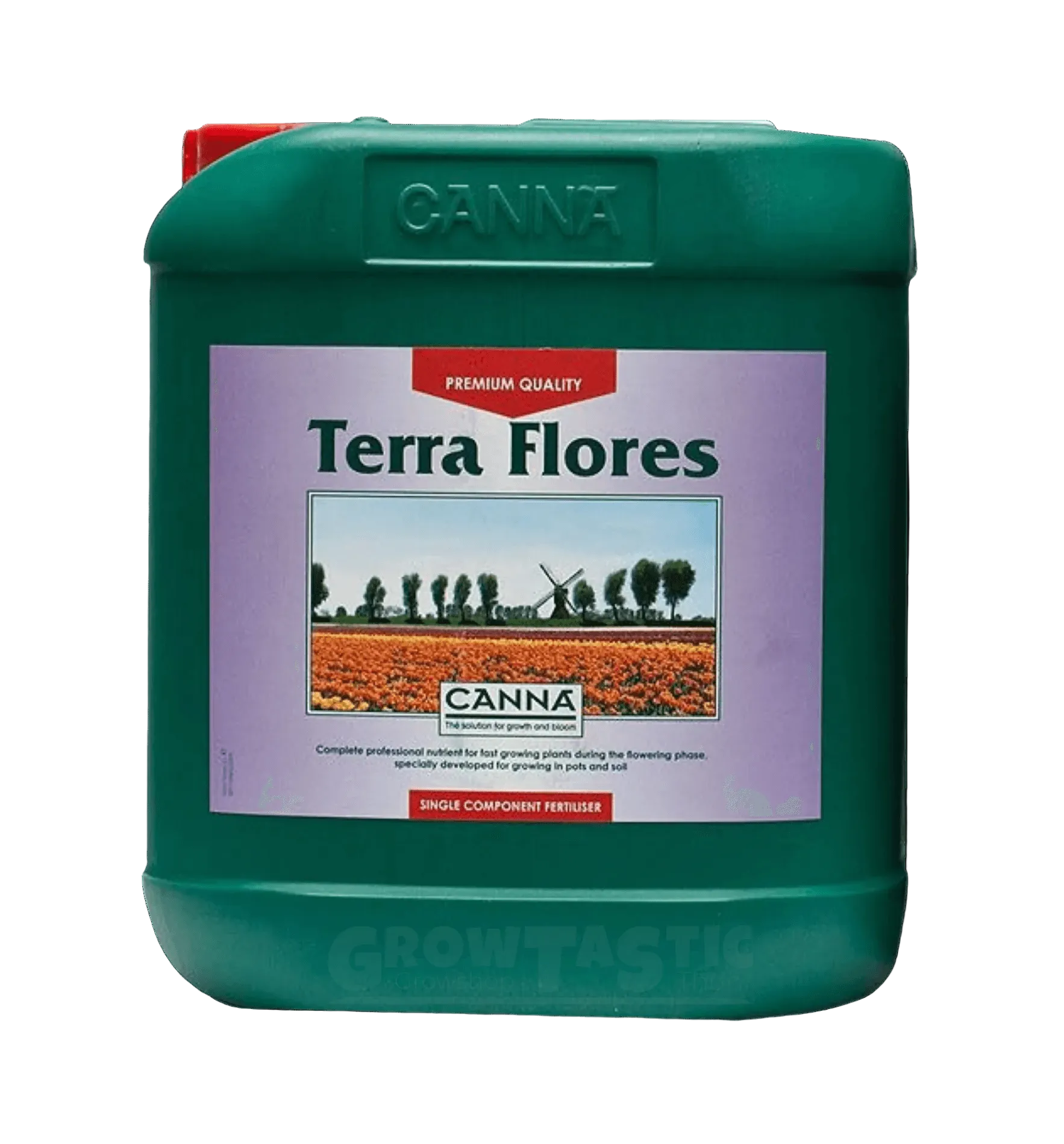 Canna Terra Flores 5