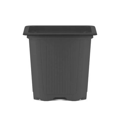 Quadratischer Pflanztopf von GrowTastic mit 0,2 Liter Volumen, ideal für Stecklinge, aus robustem Kunststoff.