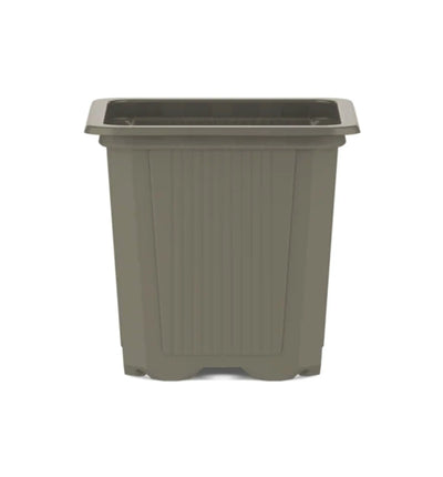 Quadratischer Pflanztopf von GrowTastic, 0,2 Liter, ideal für Stecklinge, aus robustem Kunststoff, modernes Design