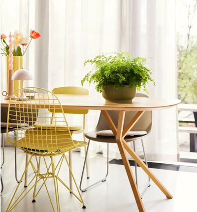 Elho Vibes Fold Bowl Pflanztopf aus Kunststoff mit faltbarem Design, ideal für Zimmerpflanzen und Balkonpflanzen.