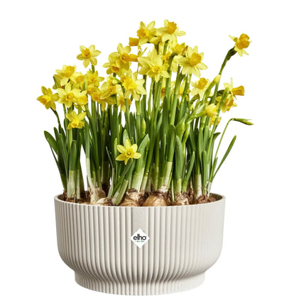 Elho Vibes Fold Bowl Pflanztopf aus Kunststoff mit modernem Design, ideal für Zimmer- und Balkonpflanzen