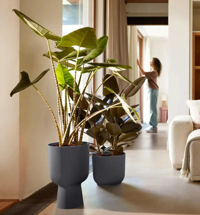 Elho Vibes Fold Coupe Pflanztopf aus Kunststoff in modernem Design, ideal für Pflanzen im Innen- und Außenbereich