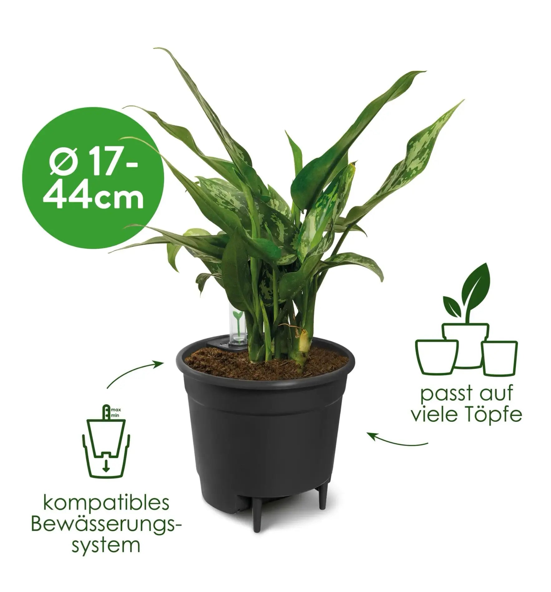 Elho Bewässerungssystem für Pflanzen, automatische Selbstbewässerung mit eleganten Design, ideal für Garten oder Balkon.