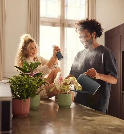 Elho Handsprüher Vibes Fold bei, kompakter Gartensprüher mit ergonomischem Griff und transparentem Behälter, ideal für Gartenarbeiten