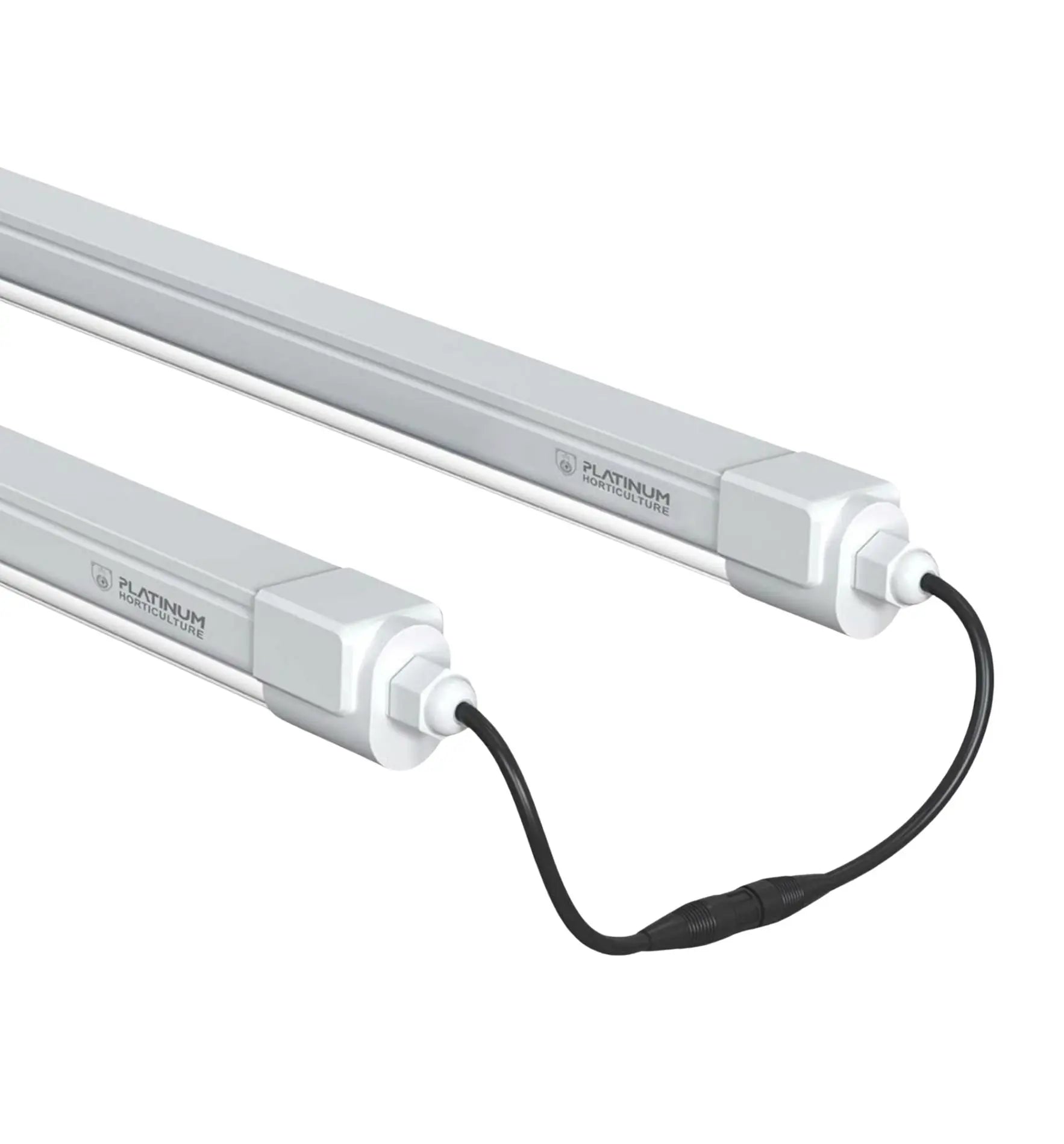 Horticulture Platinum Clone LED Pflanzenleuchte, 18W, 6500K, helle weiße Lichtquelle für gesunde Pflanzenwuchs.