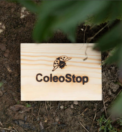 Nützlinge ColeoStop® Nematoden gegen Dickmaulrüsslerkäfer, biologischer Schädlingsbekämpfer für den Garten, in Verpackung.